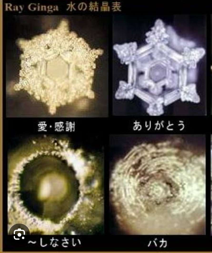「ありがとう」と言われた水の美しい結晶の写真